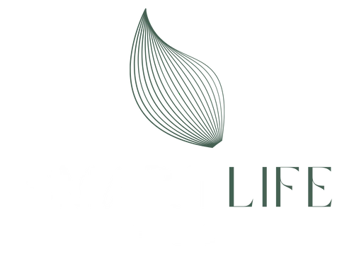 SMART LIFE HUB