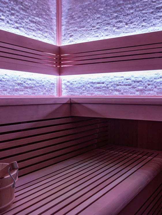 ThermaLuxe Sauna 1101 - Image 3